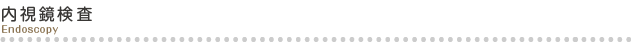 内視鏡検査